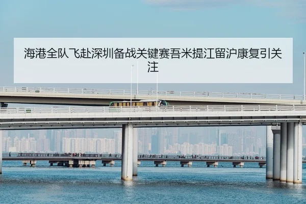 海港全队飞赴深圳备战关键赛吾米提江留沪康复引关注